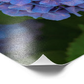 Shades Of Blue – ザブルーアジサイ フォトプリント (角)