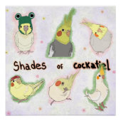 Shades of Cockatiel ポスター (正面)