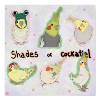 Shades of Cockatiel ポスター