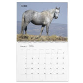 Shades of Gray Sand Wash Basin, Colorado カレンダー (1月 2026)