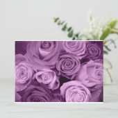 Shades of Purpleバラ (スタンド正面)