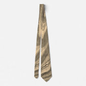 Shades of Taupe Brown and Beige Stone抽象芸術 ネクタイ (裏面)