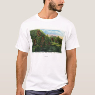 shadow湖およびインディアンの頭部の景色の概観 tシャツ
