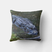 Shadow in the Shallows クッション (裏面)