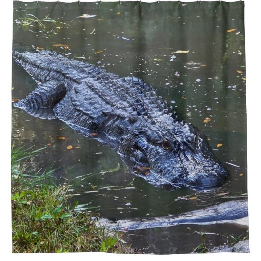 Shadow in the Shallows シャワーカーテン (正面)