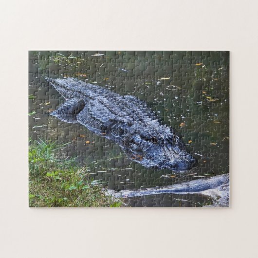 Shadow in the Shallows ジグソーパズル (横)