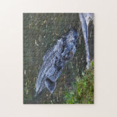 Shadow in the Shallows ジグソーパズル (縦)