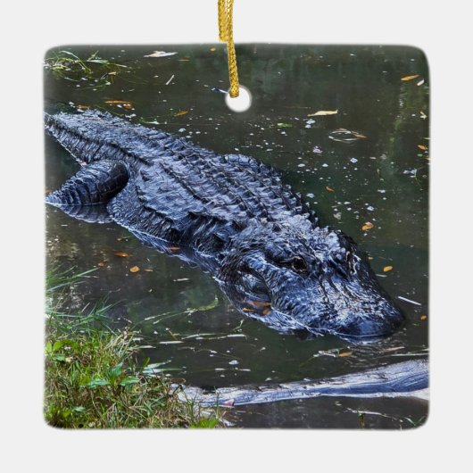 Shadow in the Shallows セラミックオーナメント (正面)