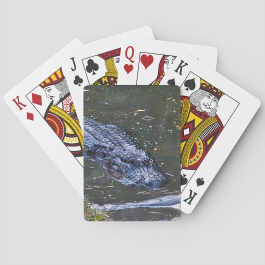 Shadow in the Shallows トランプ (裏面)