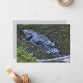 Shadow in the Shallows ノートカード (正面/裏面インサイチュ)