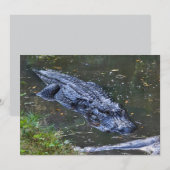 Shadow in the Shallows ノートカード (正面/裏面)