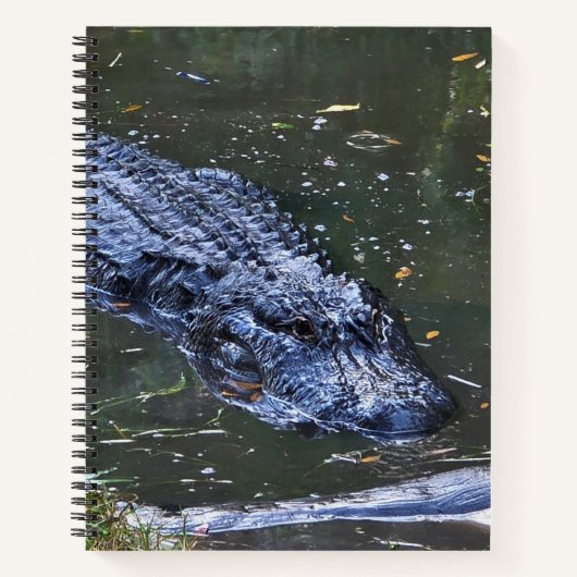 Shadow in the Shallows ノートブック (正面)