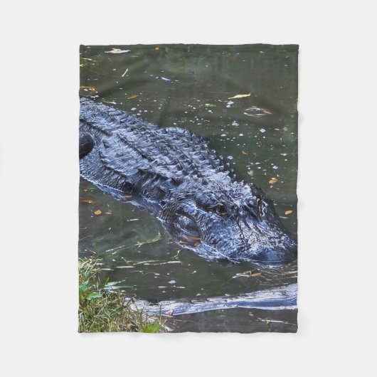 Shadow in the Shallows フリースブランケット (正面)