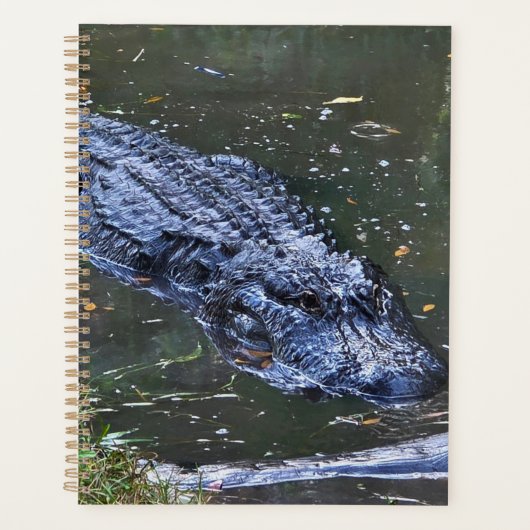 Shadow in the Shallows プランナー手帳 (正面)