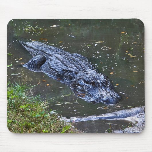 Shadow in the Shallows マウスパッド (正面)