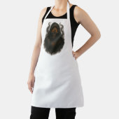 Shadow of the Underworld エプロン (インサイチュ)