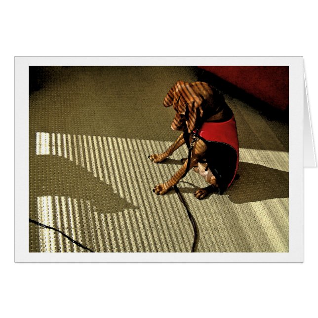 Shadowplay 1 (正面横)