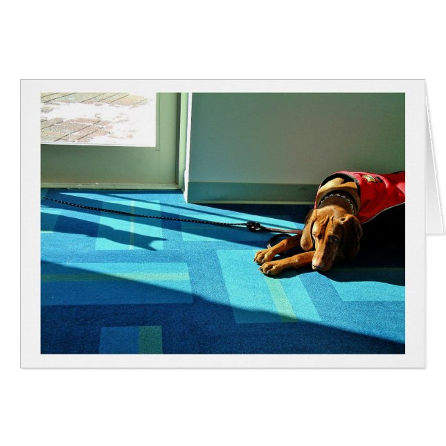 Shadowplay 2 (正面横)