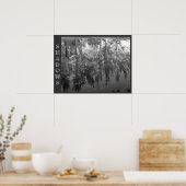 SHADOWSポスター ポスター (キッチン)