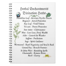 Shadows Journalウィッチクラフトブック