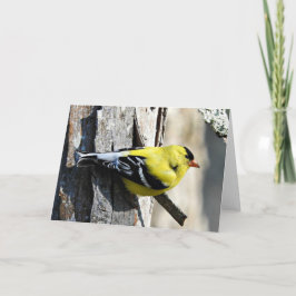 Shagbarkの挨拶状、中ブランクのGoldfinch カード