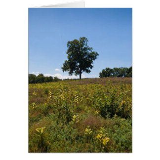 Shagbarkヒッコリーチャールズの川半島