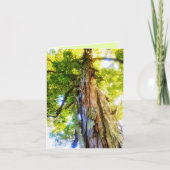 Shagbark Hickory Greeting Card サンキューカード (正面)