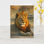 Shaka日没のライオン カード (黄色い花)