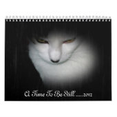 Shakira 2012のカレンダー! カレンダー (カバー)