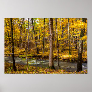 Shale Hollow in Autumn, Lewis Center, Ohio ポスター
