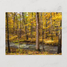 Shale Hollow in Autumn, Lewis Center, Ohio ポストカード