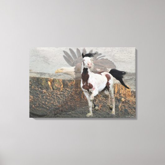 Shaman the Legend Canvas Print キャンバスプリント (正面)