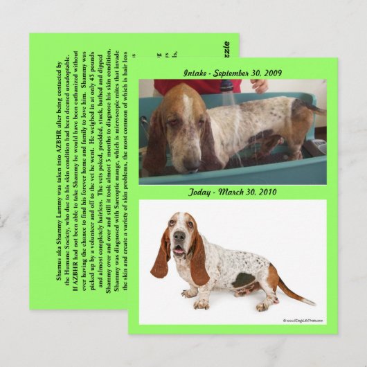 Shammy_Landscape, Shammy2, Intake - September 3... ポストカード (正面/裏面)