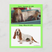 Shammy_Landscape, Shammy2, Intake - September 3... ポストカード (正面)