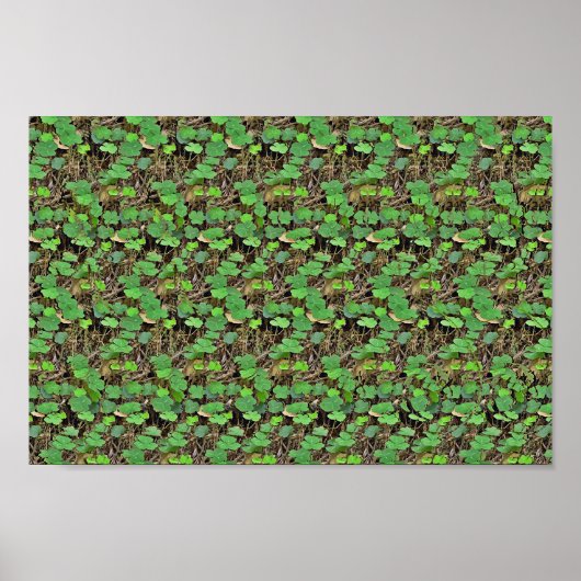 Shamrockに隠す – 3D隠しプリント ポスター (正面)