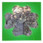 Shamrockフレーム5枚の写真 フォトキューブ (右)