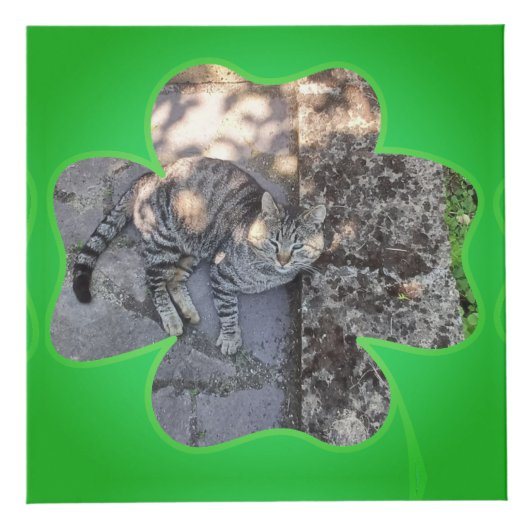 Shamrockフレーム5枚の写真 フォトキューブ (右)