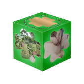 Shamrockフレーム5枚の写真 フォトキューブ (裏面アングル)