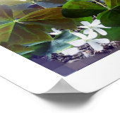 SHAMROCKポスター ポスター (角)