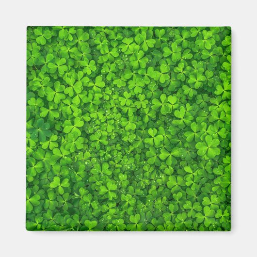 Shamrock green, St. Patrick's Day, マグネット (正面)