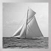 Shamrock II at Outer Mark 1901 BW ポスター (正面)