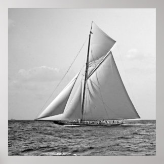 Shamrock II at Outer Mark 1901 BW ポスター