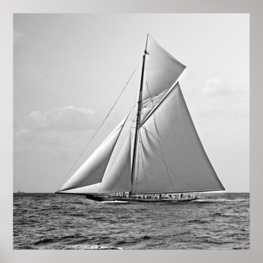 Shamrock II at Outer Mark 1901 BW ポスター (正面)