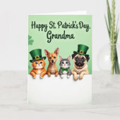 Shamrock Pets Grandma Card カード (正面)