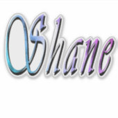 "Shane" Colorful Shane Name, シール (正面)