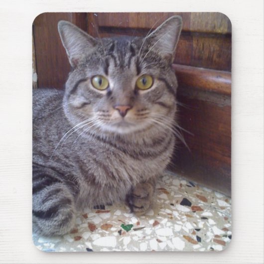 Shangel マウスパッド (正面)