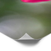 Shanghai Beauty ポスター (角)