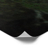 Shannon's All Washed Up! ポスター (角)