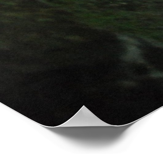 Shannon's All Washed Up! ポスター (角)