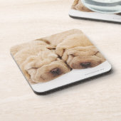 Shar 2匹のPeiの子犬の睡眠 コースター (左側)